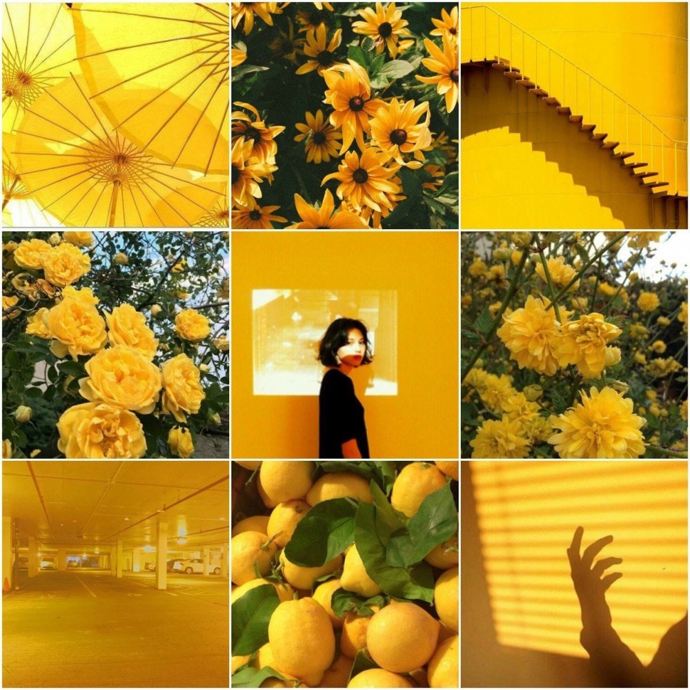 Эстетики желтого цвета