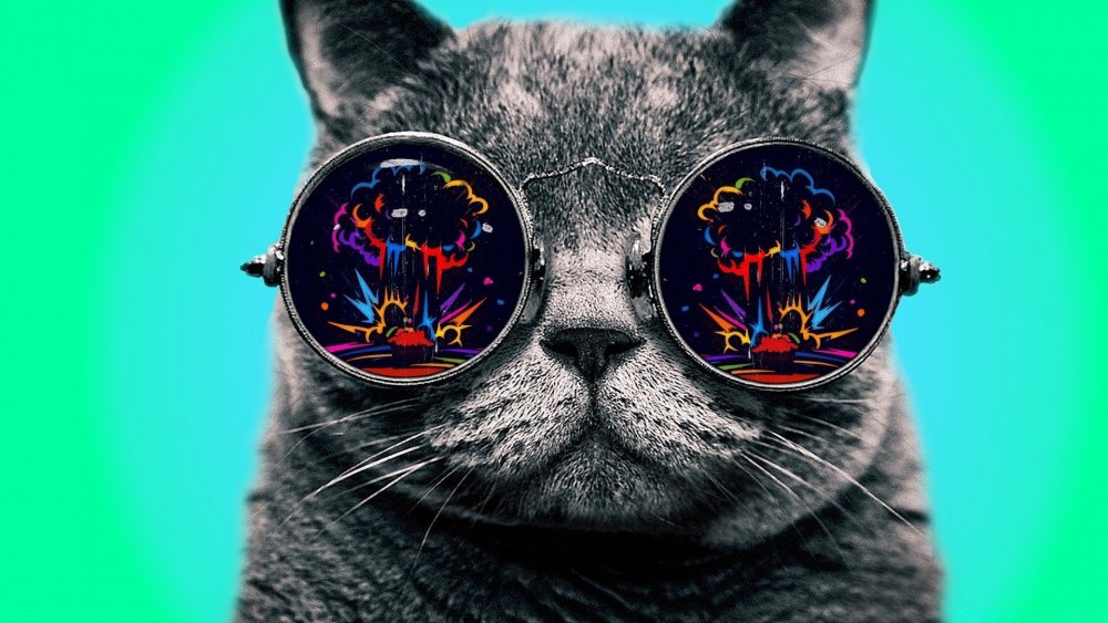 Постер кот в очках