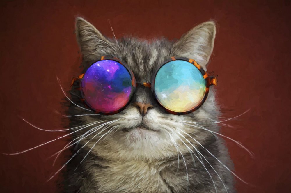 Шар кот в очках