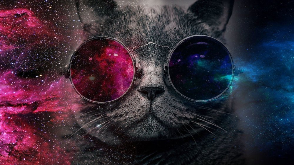 Кот в очках космос HD