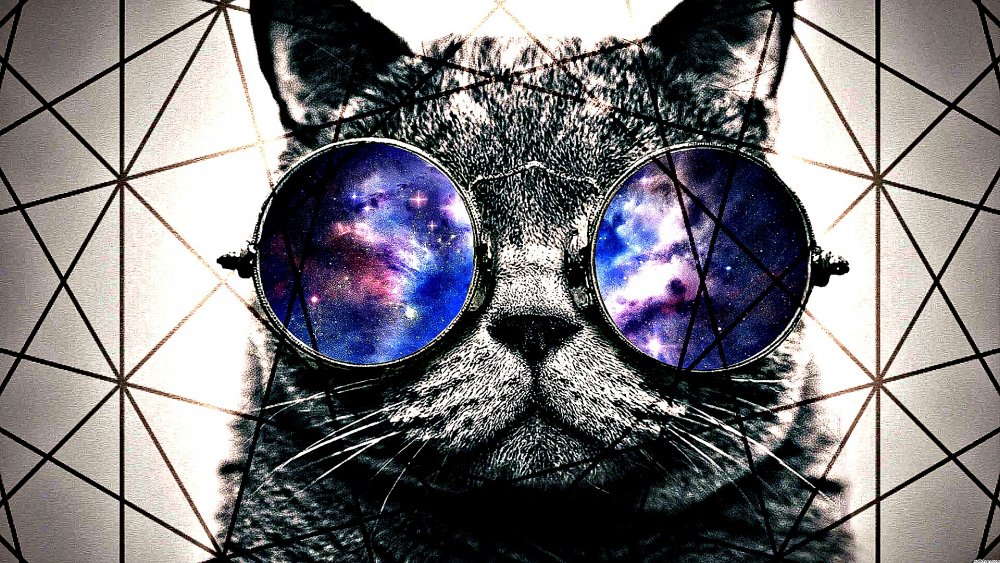 Котик в очках с космосом