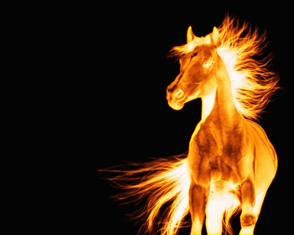 Красивая Огненная лошадь