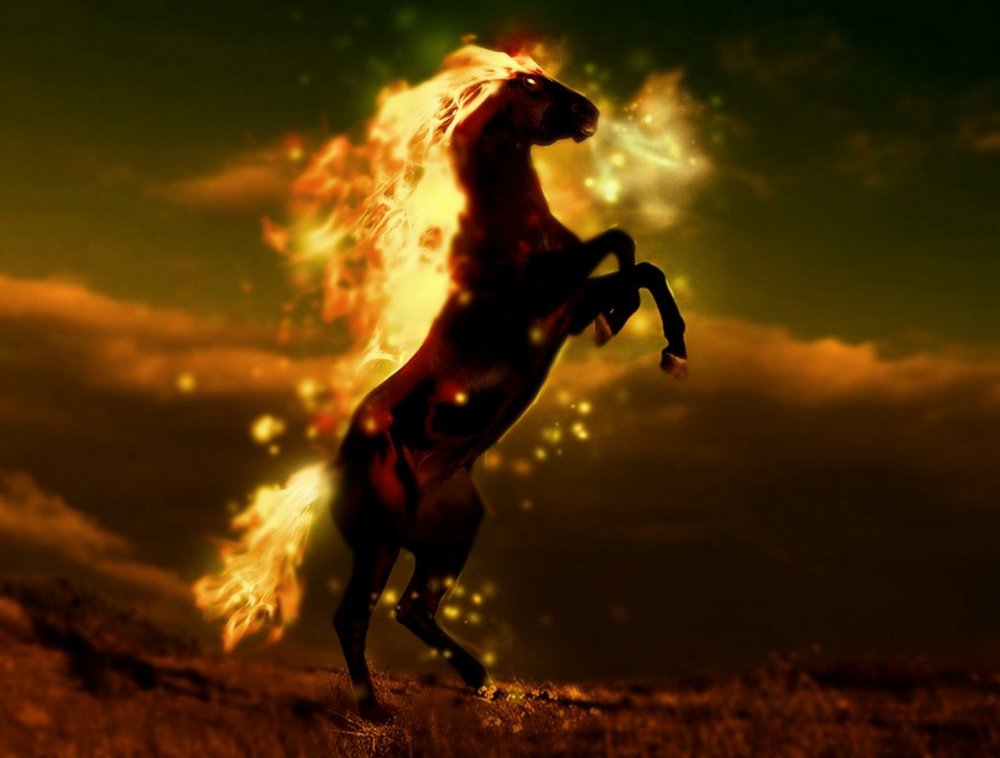 Огненный конь на дыбах