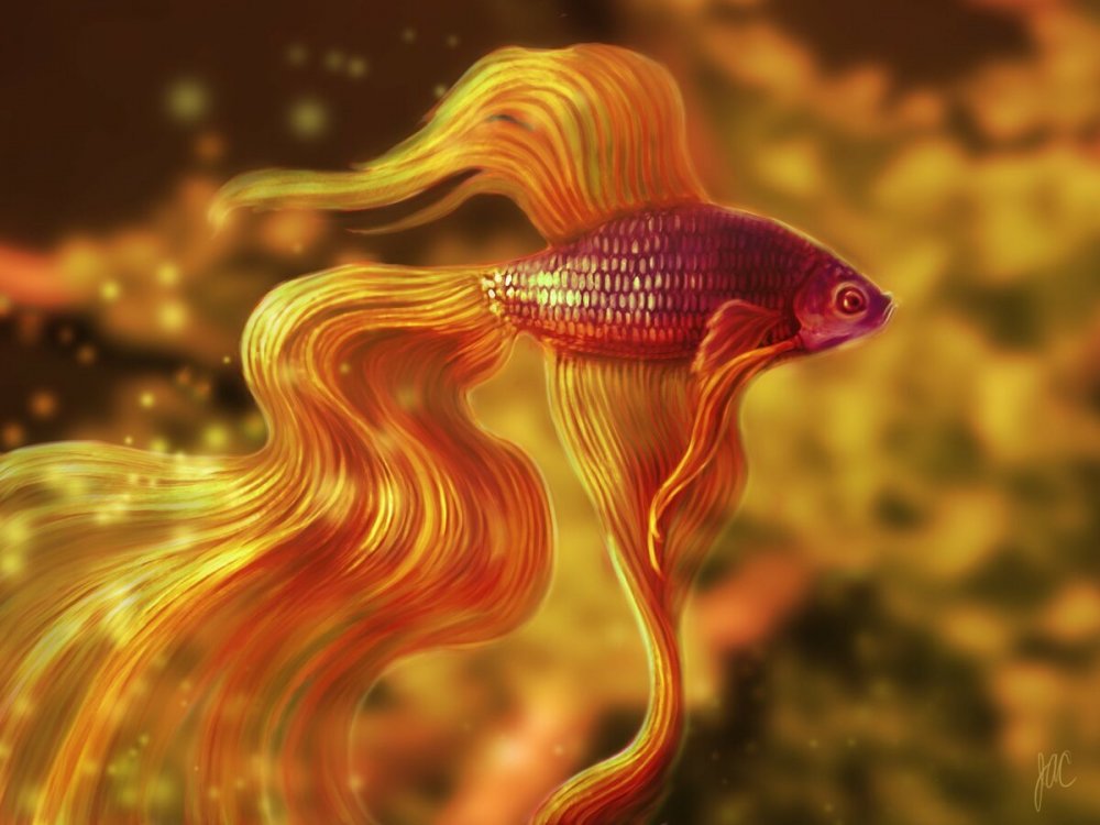 Самая красивая Золотая рыбка