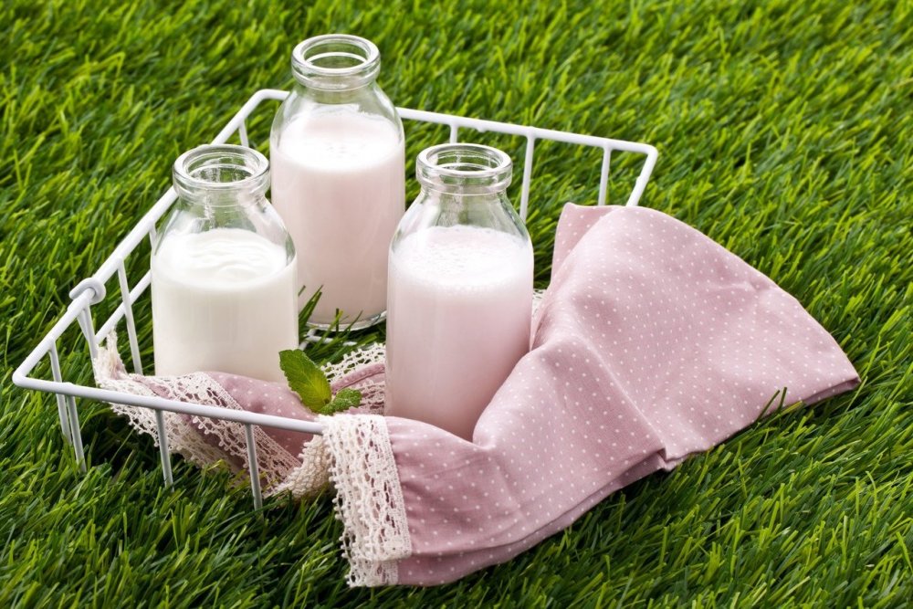 Фермерские молочные продукты