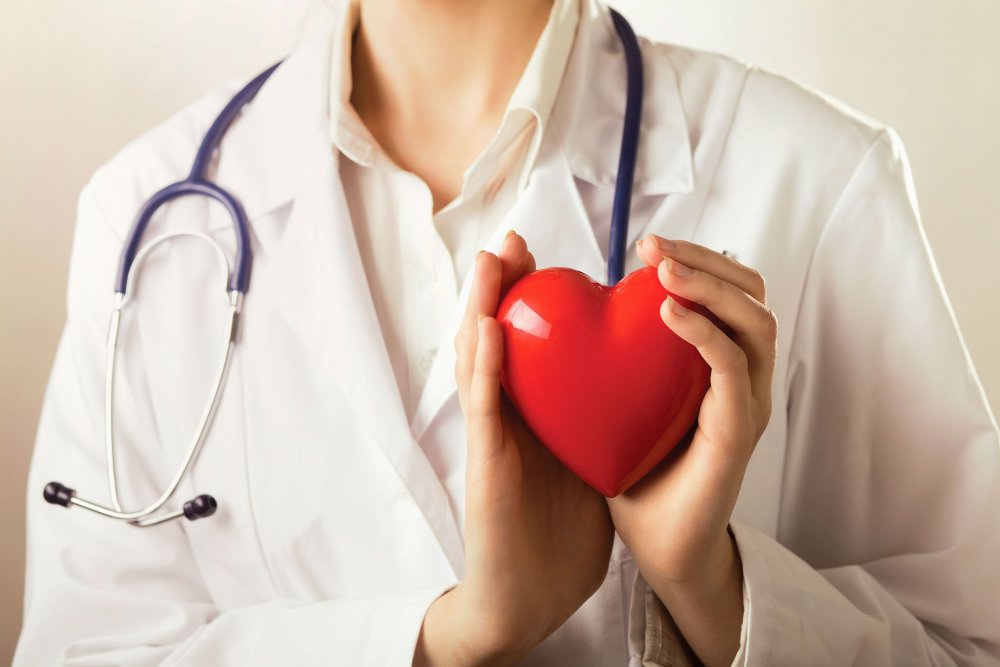 Сердце человека фото медицина