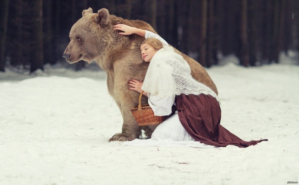 Маргарита Карева медведь Степан