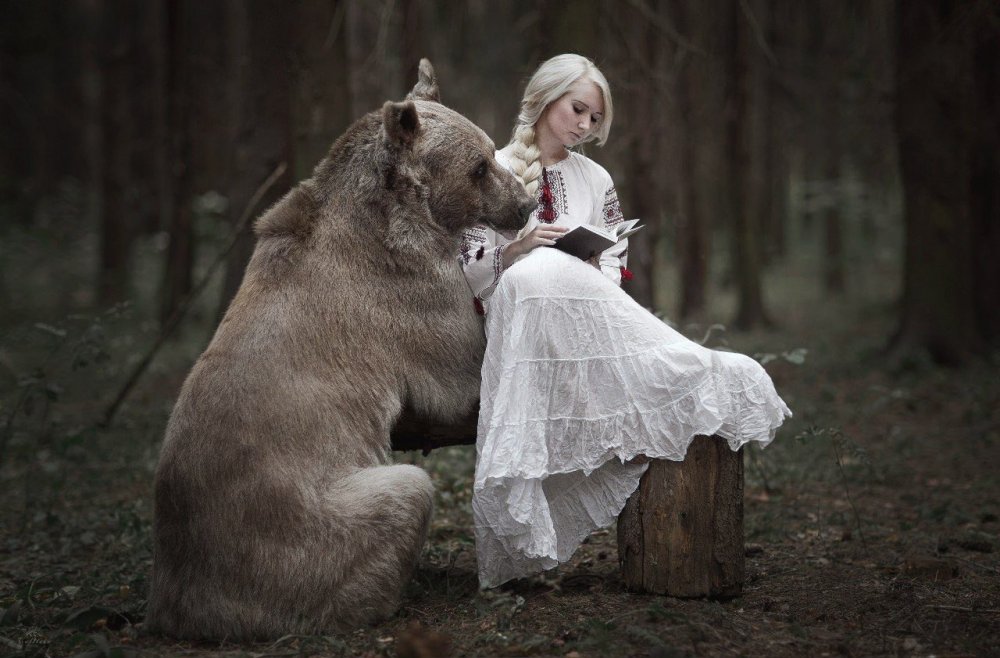 Девушка и медведь