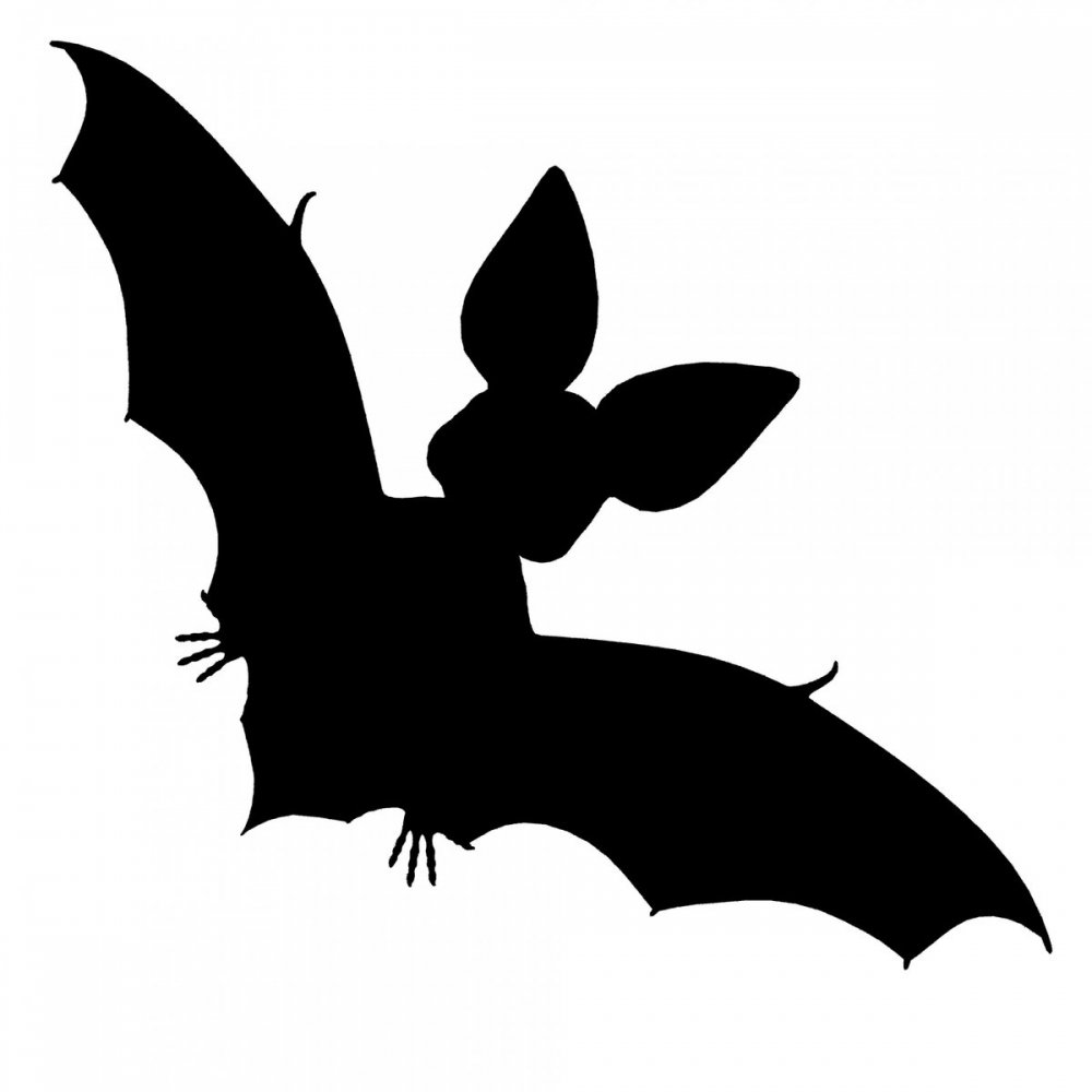 Рисунки летучих мышей на Хэллоуин разными формами
