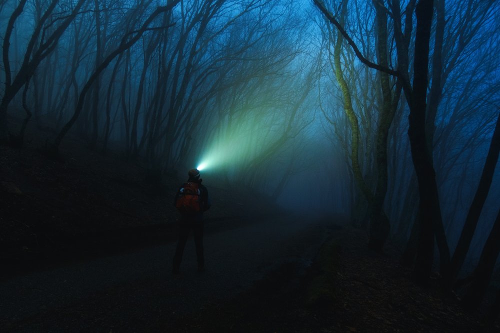 Человек в темноте в лесу