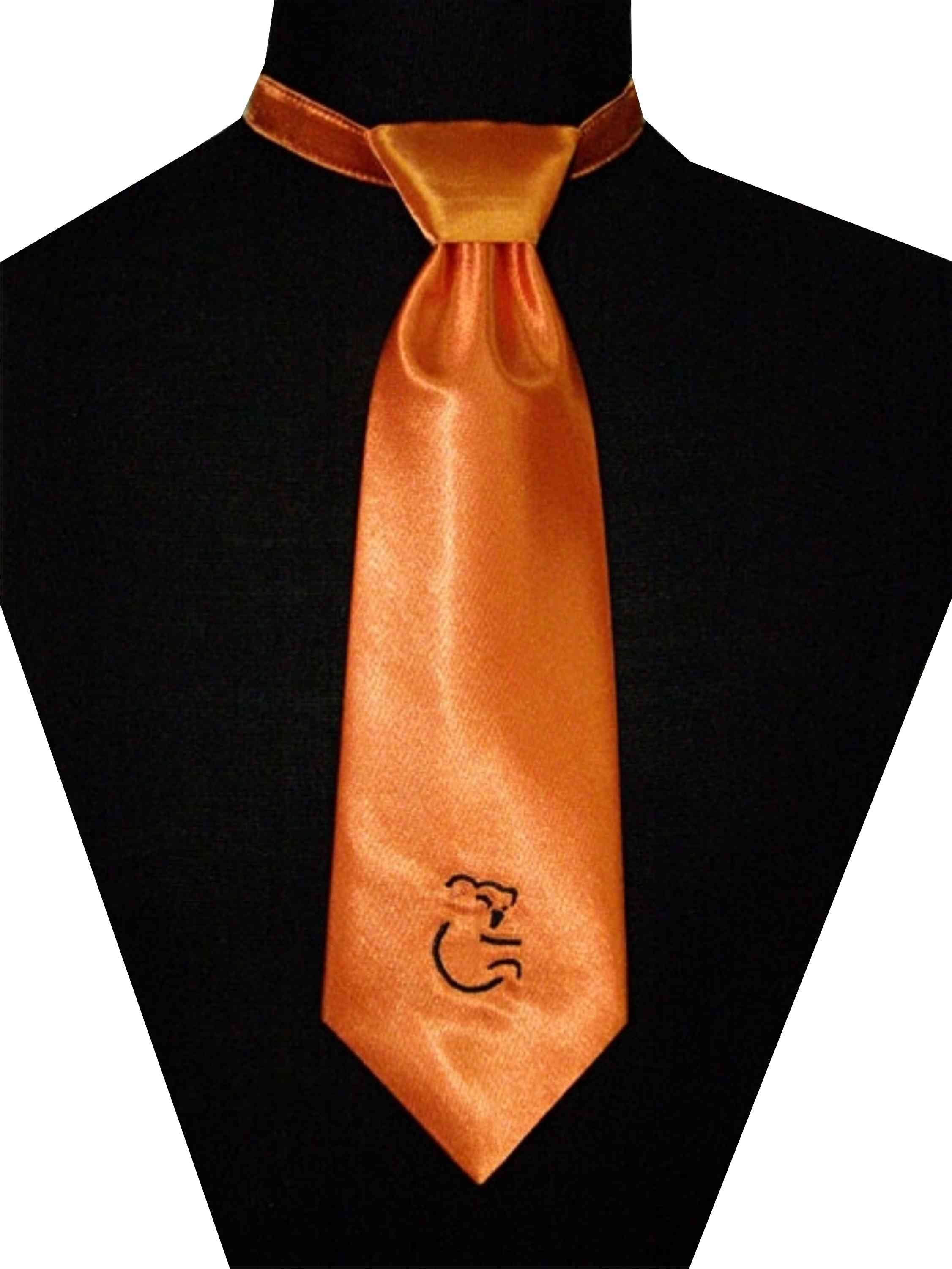 Картинка галстук мужской. Галстук. Галстук мужской. Креативный галстук. Оранжевый галстук.