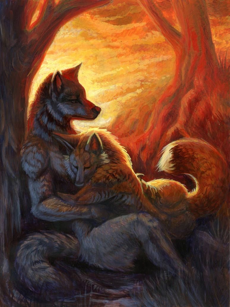 Волки романтика