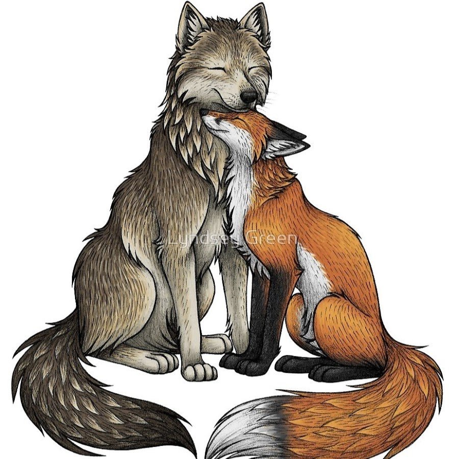Волк и лисица