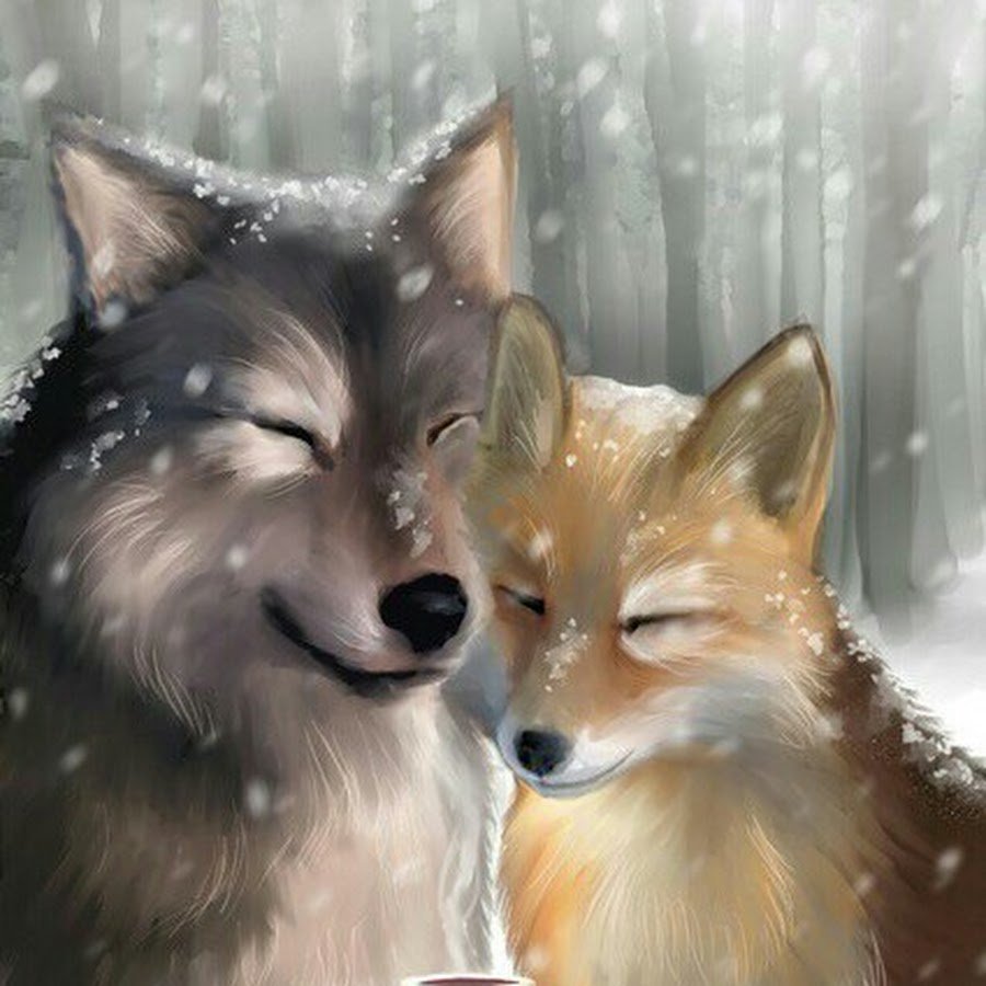 Любовь волка и лисы