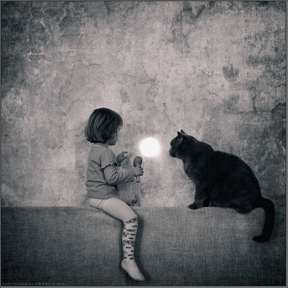 Потерпи маленькая. Энди прох фотограф. Девочка с котом. Девочка с котятами. Девушка кошка.