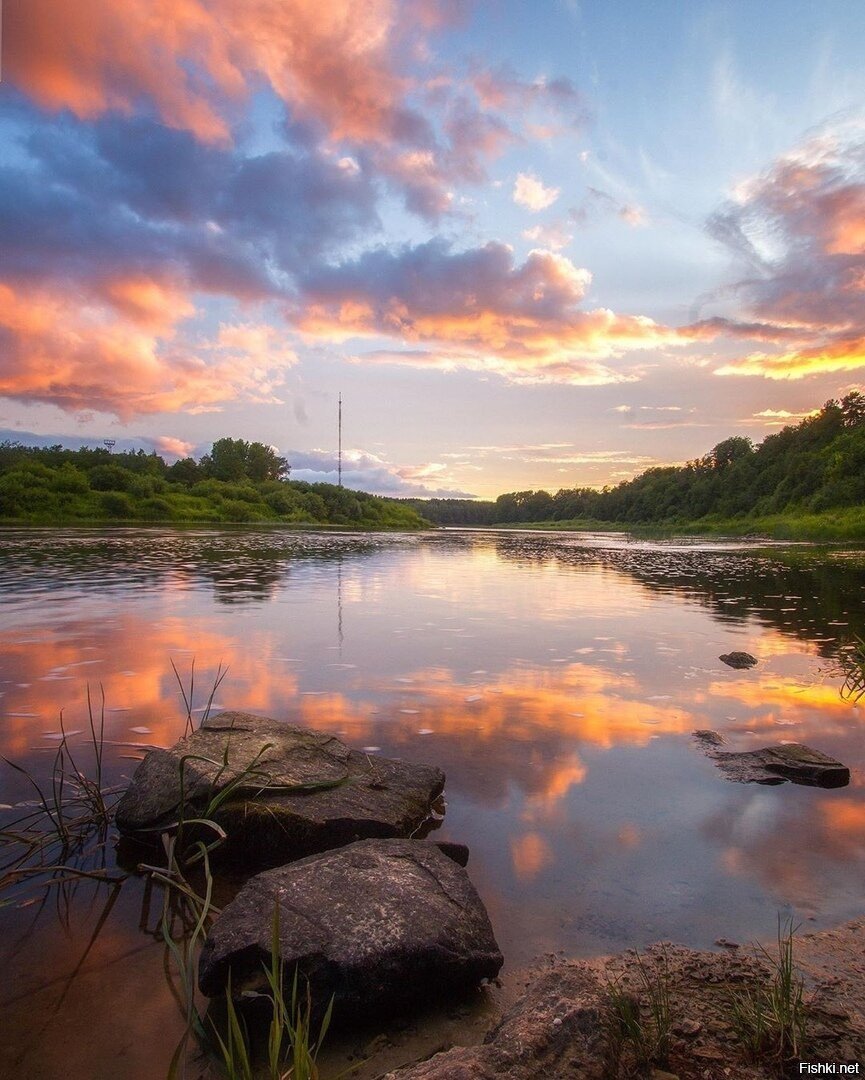Река Луга в Ленинградской