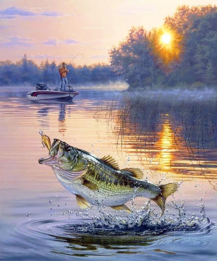 Красивая рыбалка