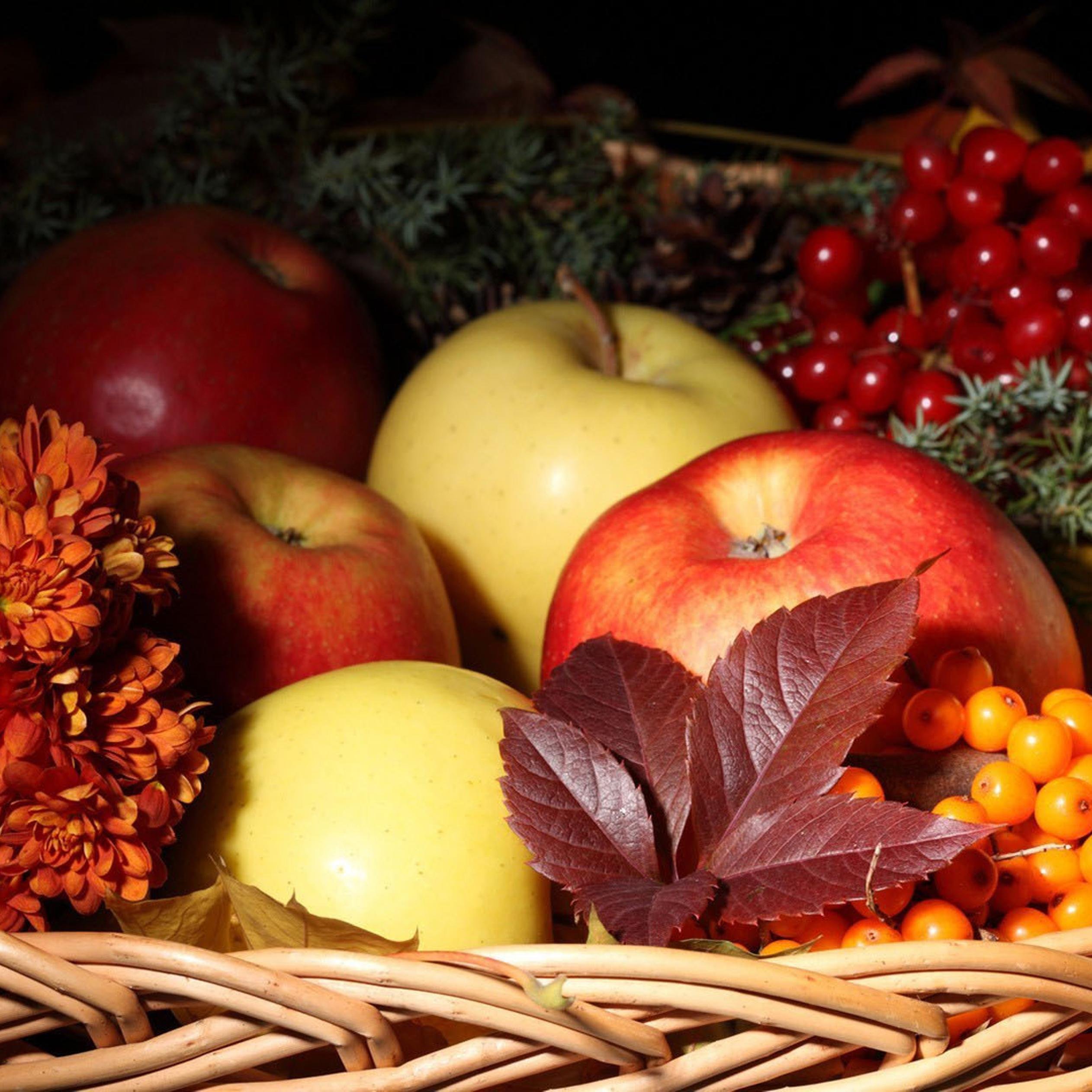 Хороша осень плодами. Осенние фрукты. Осенние яблоки. Красивое яблоко. Осень овощи.