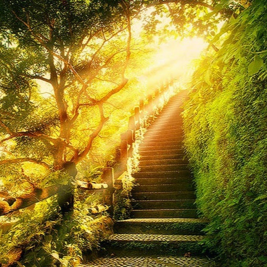 Лестница в рай