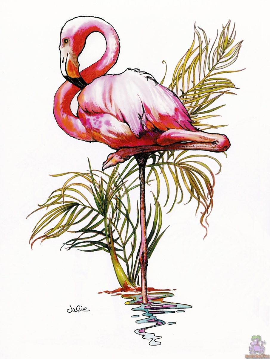 Фламинго акварелью легко