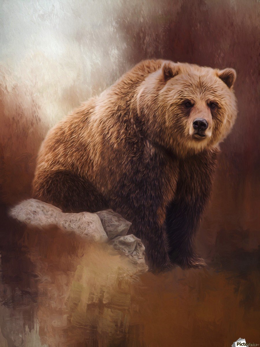 Медведь Степан Юрьевич Мирный