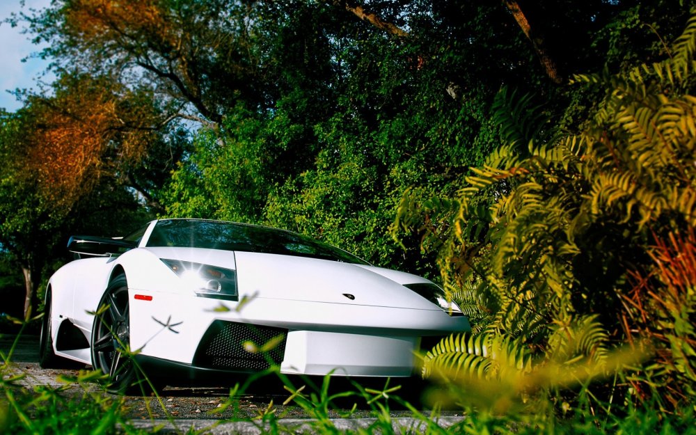 Lamborghini Murcielago белая