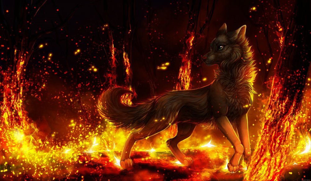 Огненный волк картинки