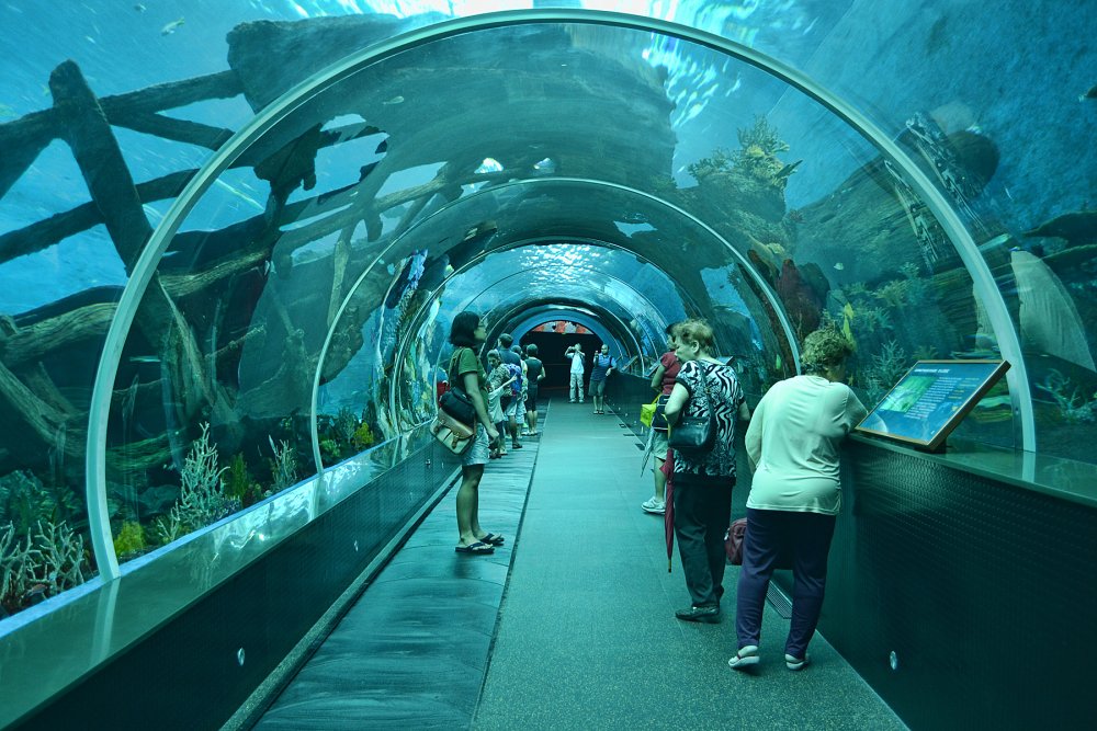 Сингапур океанариум s.e.a Aquarium