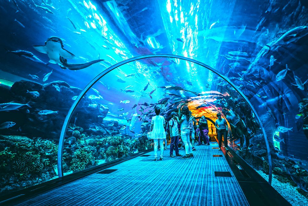 Дубай аквариум самый большой