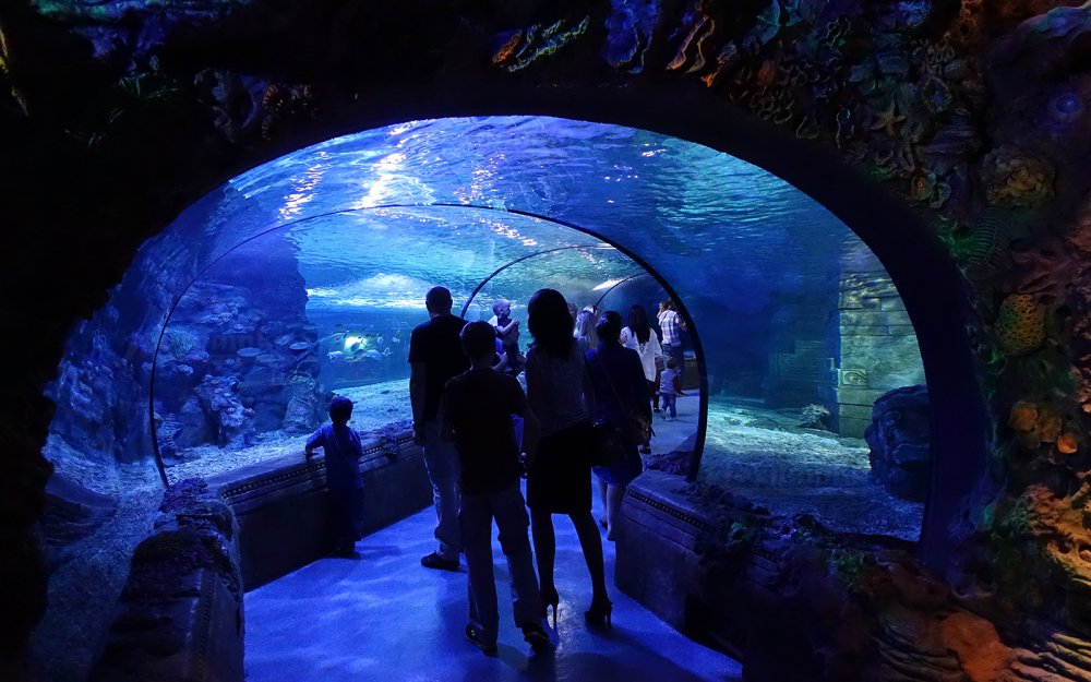 Московский аквариум океанариум