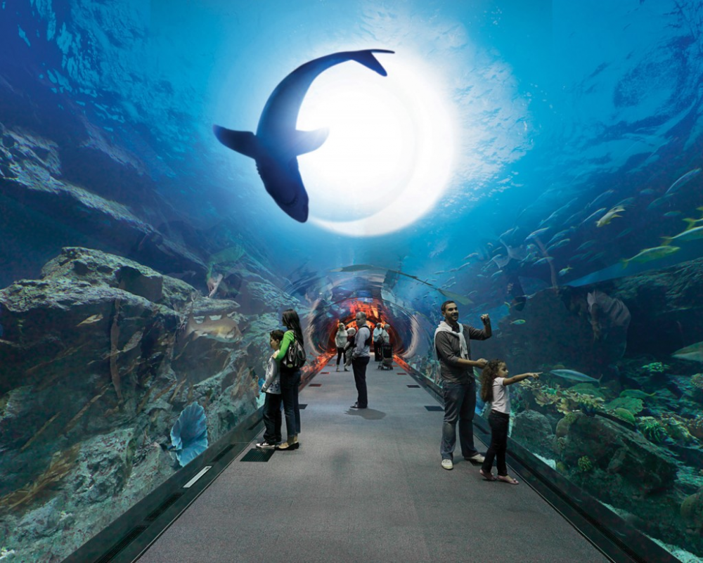 Dubai Mall аквариум