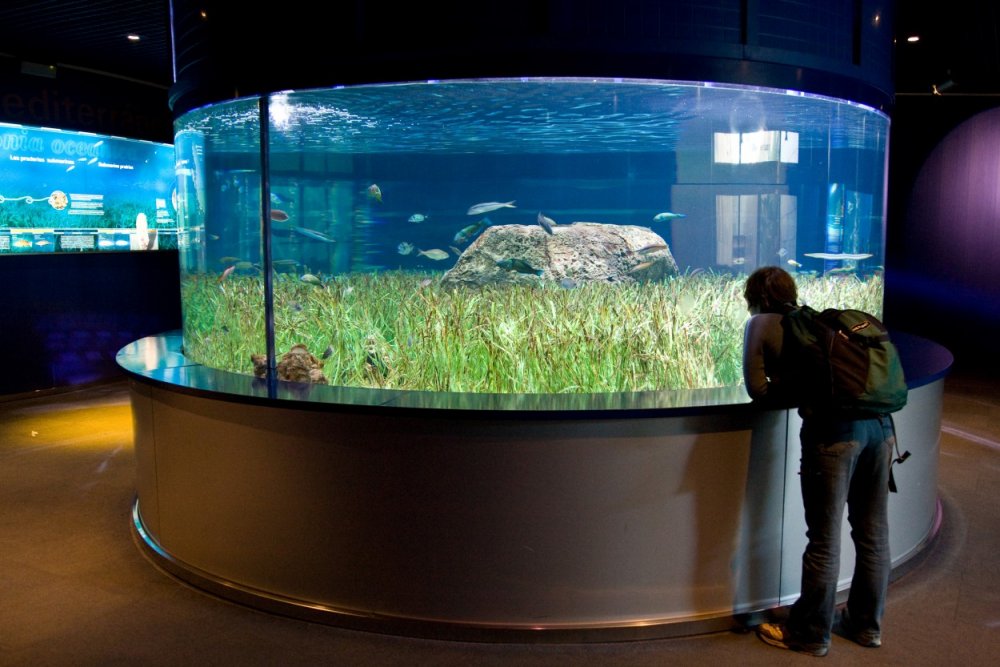 Большие аквариумы
