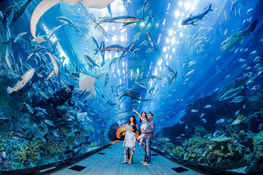 Дубай Молл аквариум