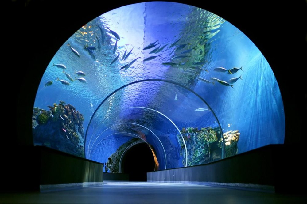 Национальный аквариум Дании голубая Планета