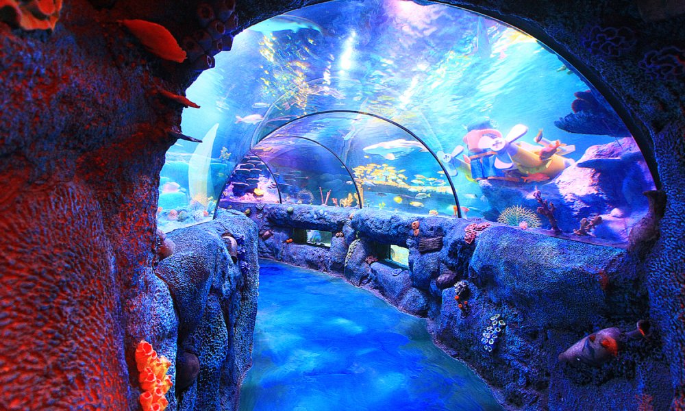 Океанариум Sea Life Legoland.