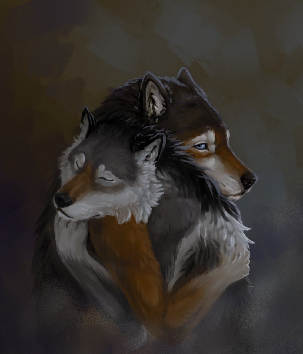 Волк и лиса фэнтези