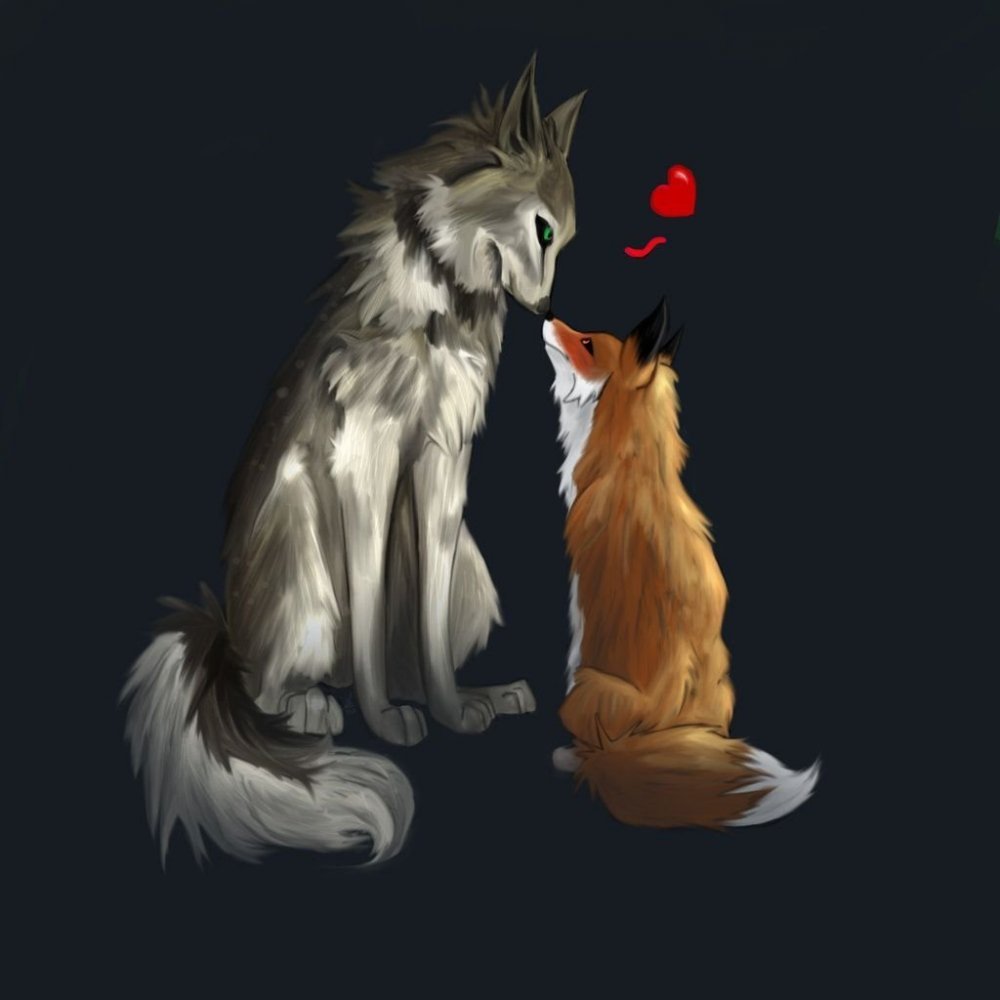 Лиса и кот любовь