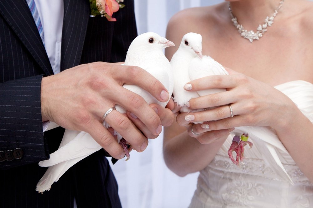 Свадебная рамка с голубями
