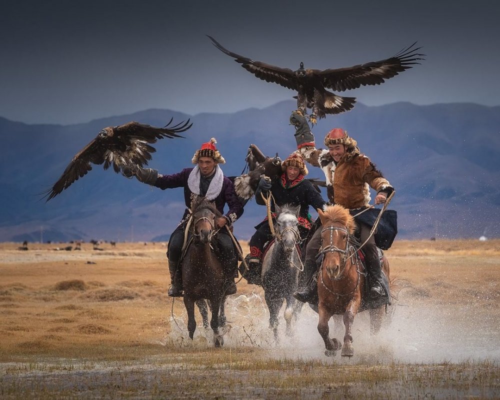 Охота с Беркутом в Монголии