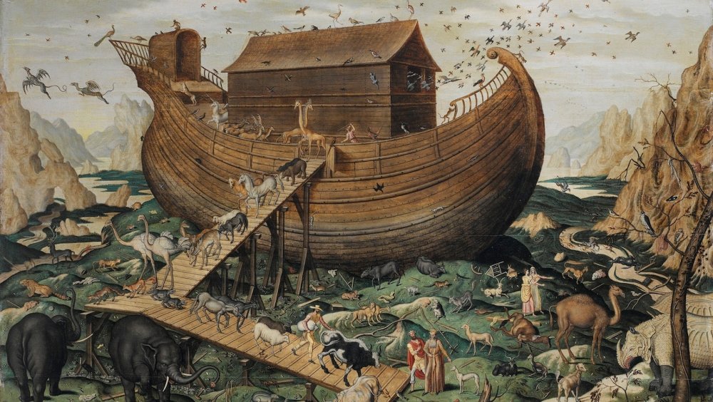 Noah корабль