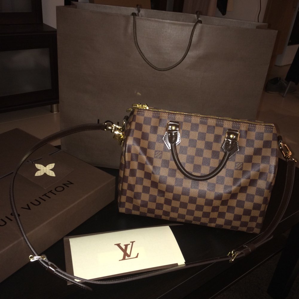 Louis Vuitton Bag Aesthetics