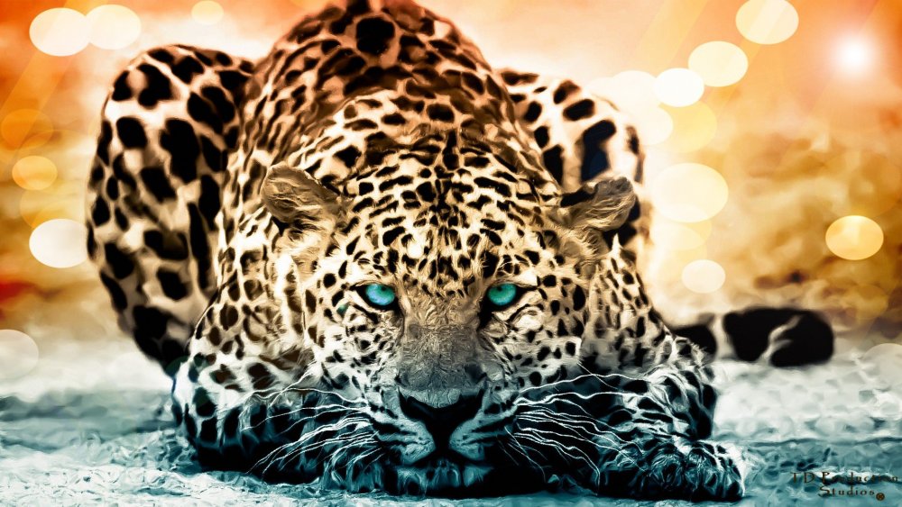 Зеленоглазый леопард