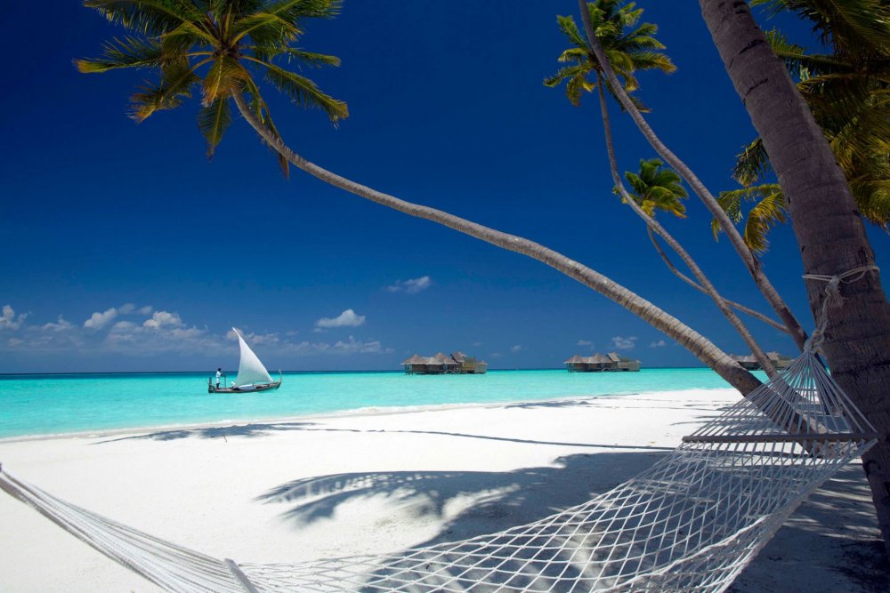 Карибские острова и Мальдивы