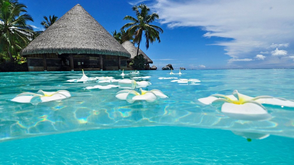 Эфемерные острова Мальдивы