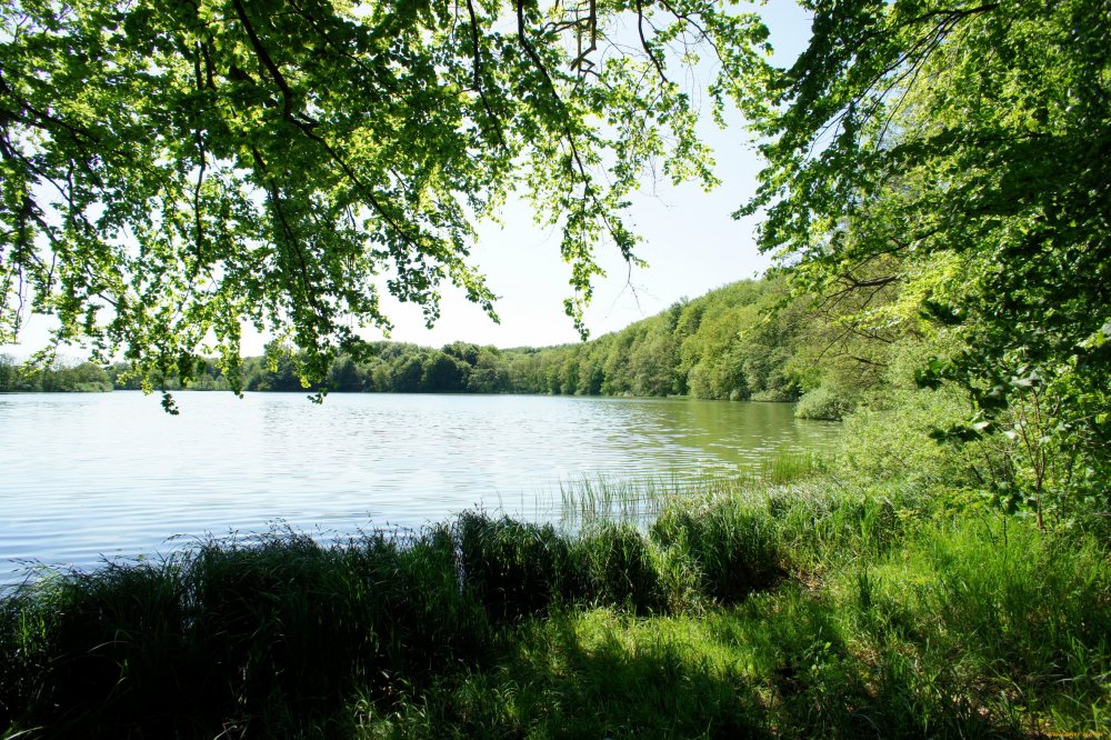 Лесное озеро Пензенская область