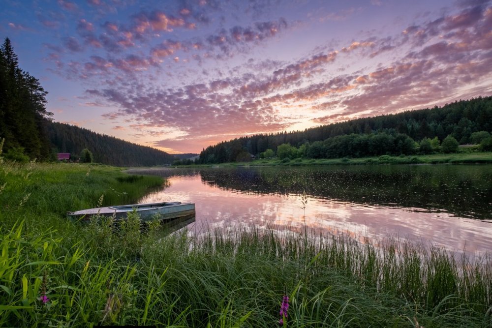 Река Чусовая Пермский край лето природа