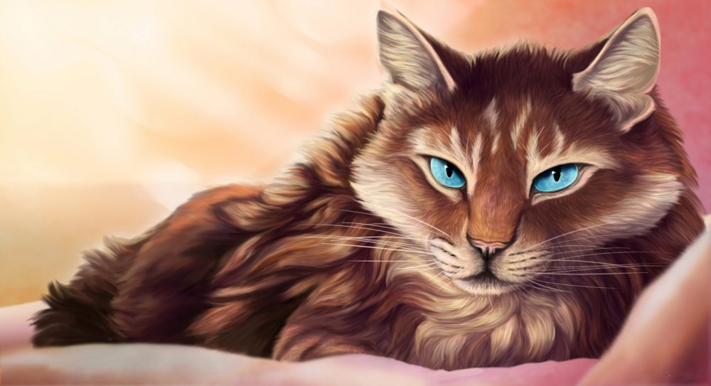 Бурый кот с голубыми глазами