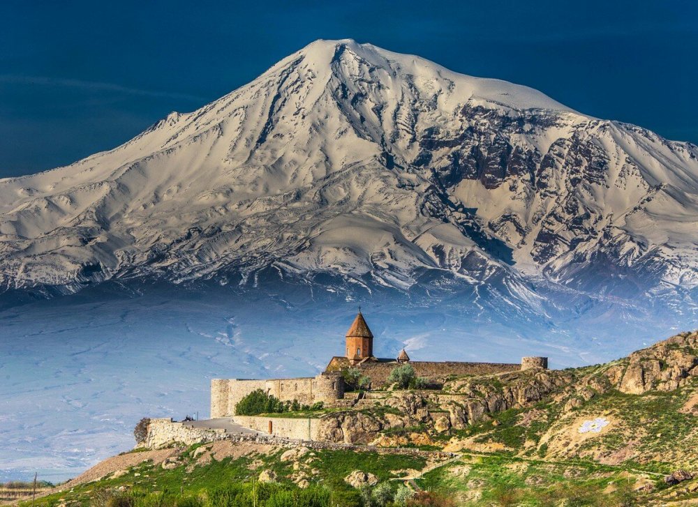 Армения гора Арарат Маковое поле