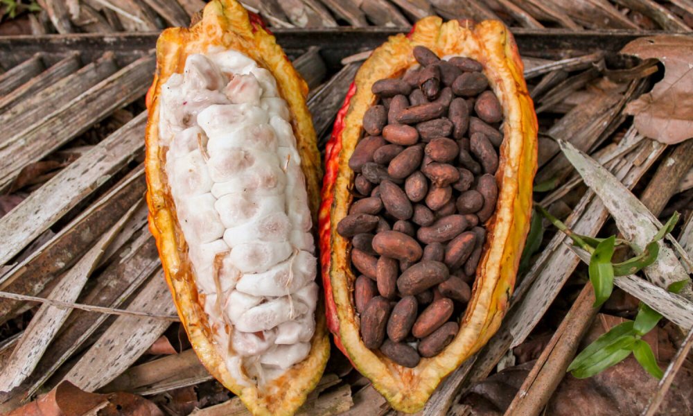Мадагаскар какао