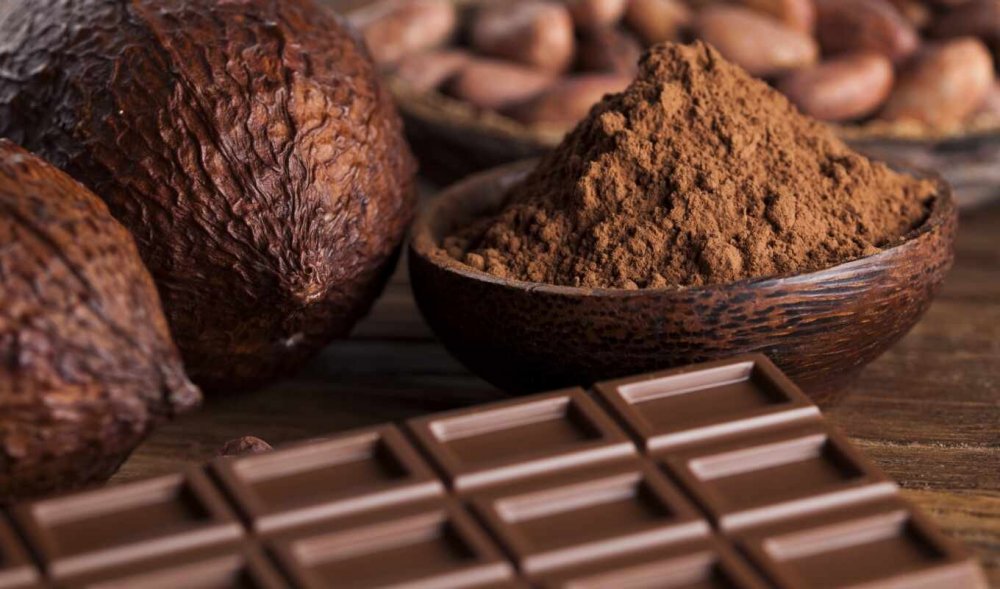 Organica for all какао-порошок